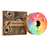 Polymaker Panchroma™ gold Metallic PLA filament 1.75mm, 1kg CA02011 DFP14411 - 3